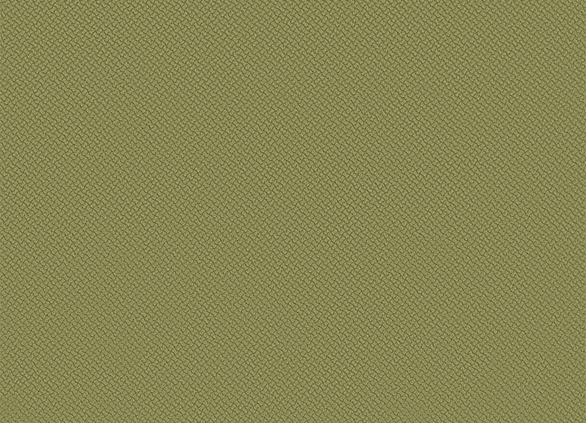 Блитц Олива Вр3.17